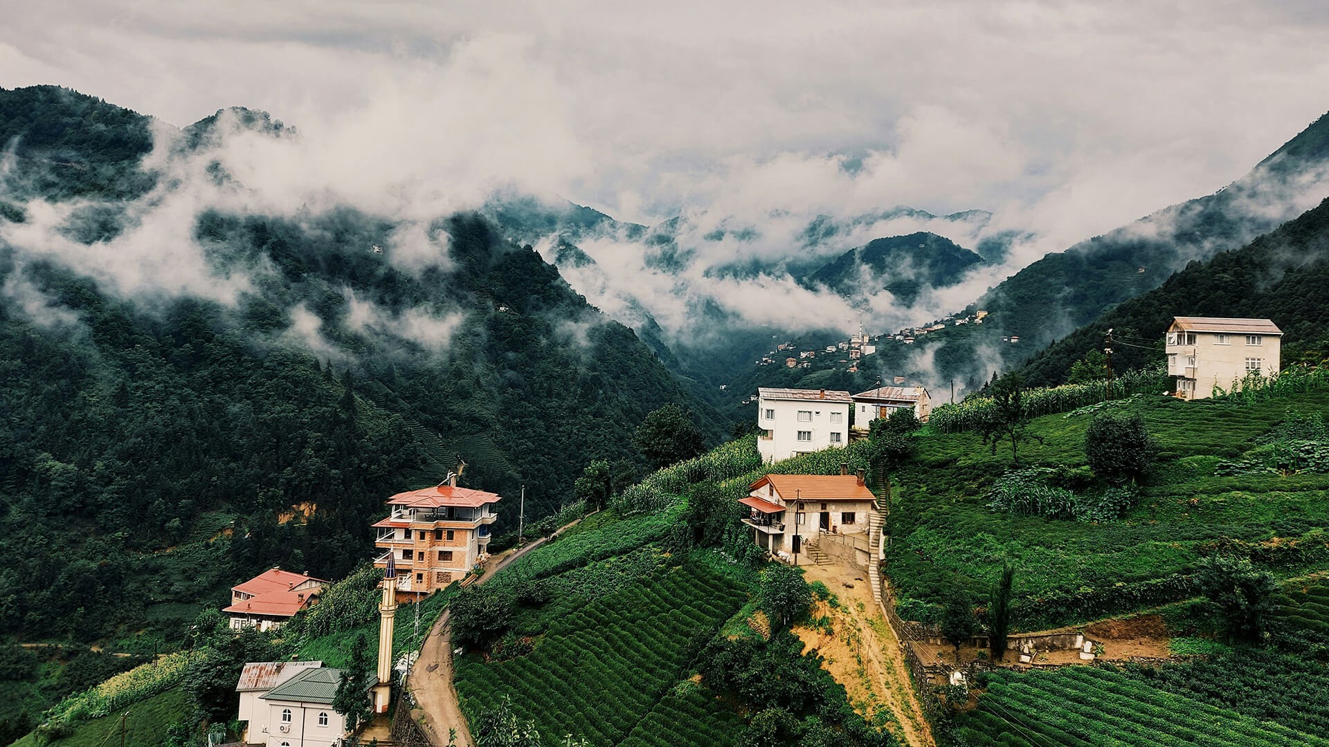 MINI Rotalar: Trabzon’da Doğanın Ritmini Yakalamak | MINI Türkiye